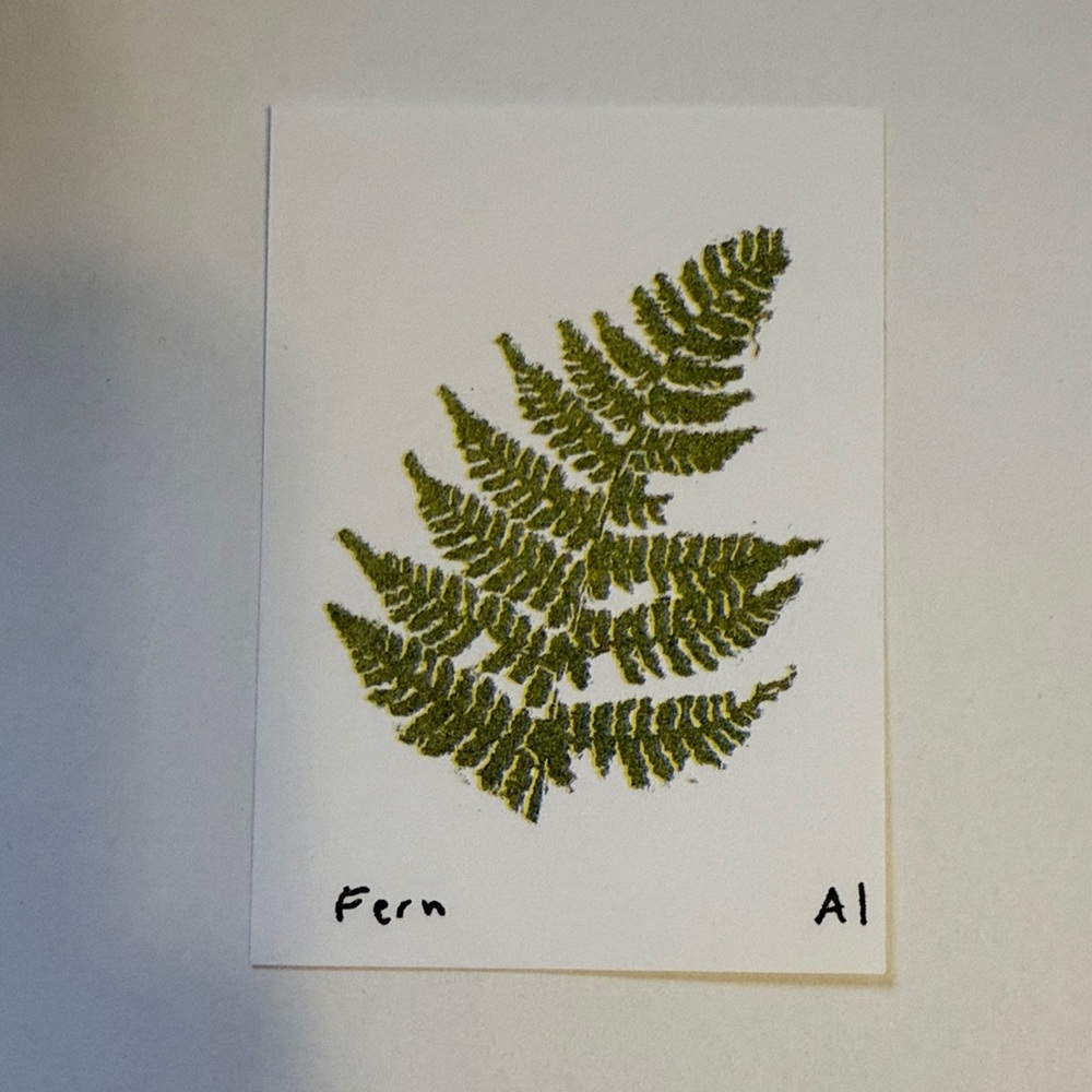 Ana Inciardi Mini Print, Fern